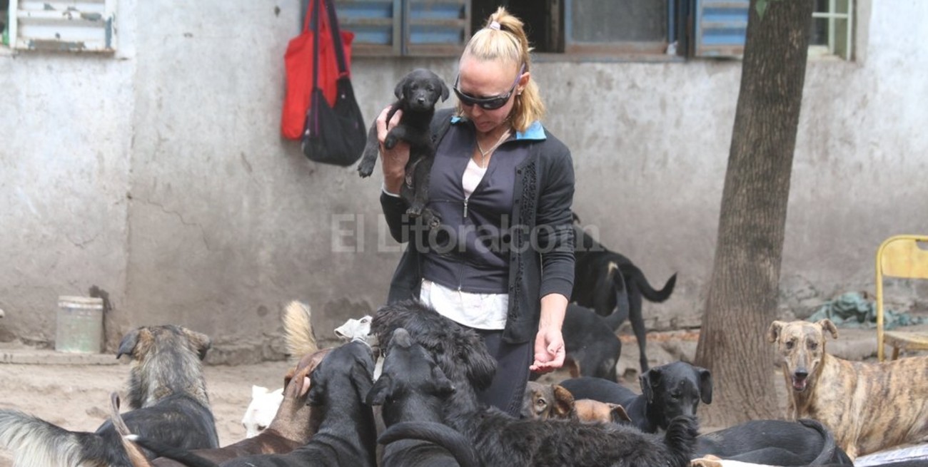 Tras el atentado, piden ayuda para el refugio de perros