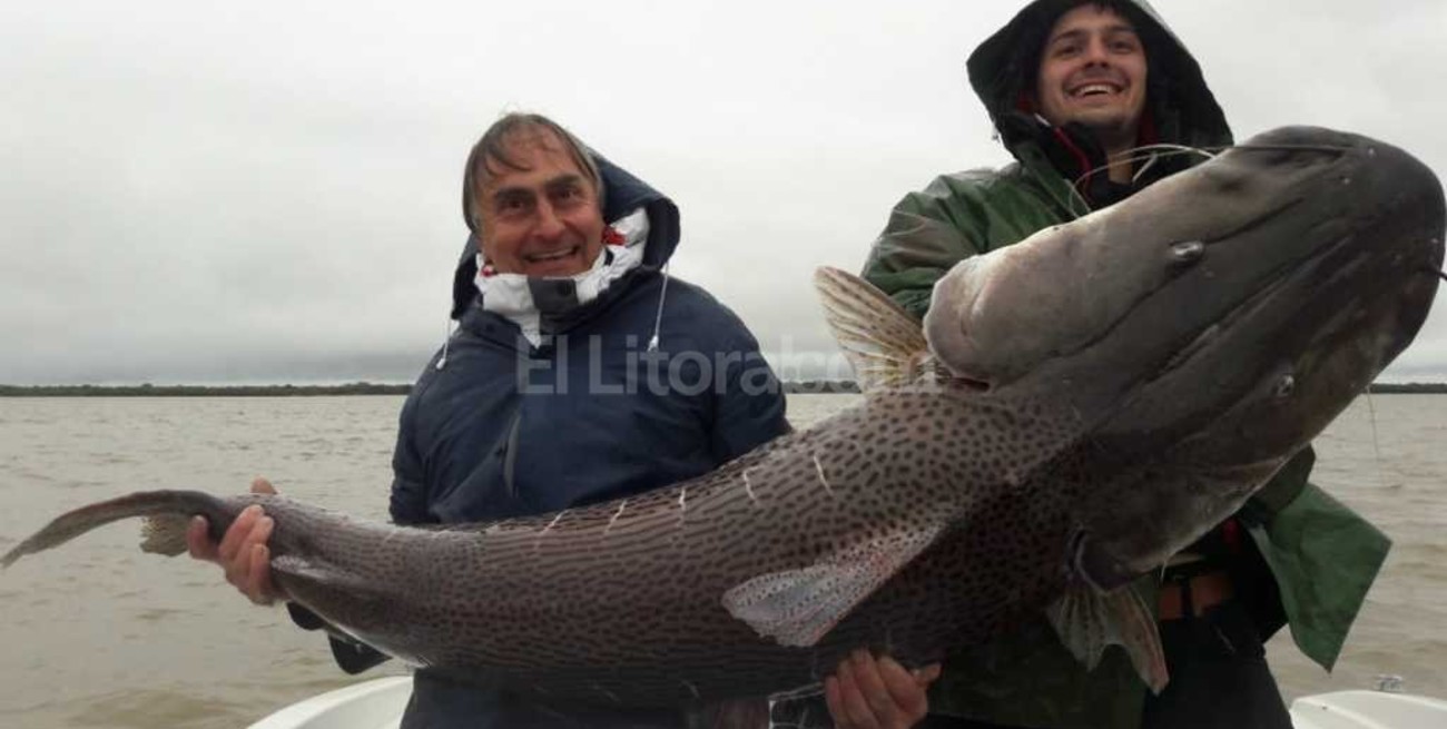 Mirá el impresionante surubí que pescaron en Corrientes