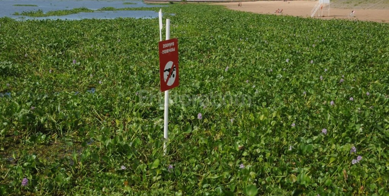 Crecida del Paraná: clausuran las playas de Santa Fe 