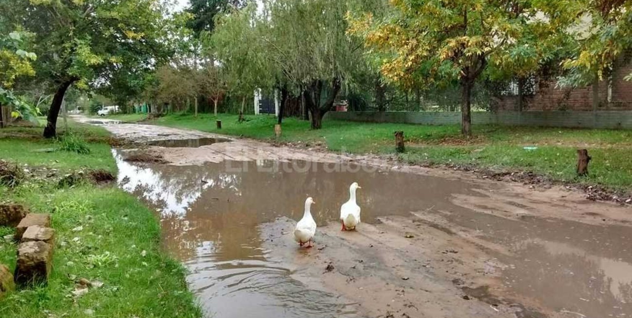 Las calles de Colastiné Norte se convierten en lagos para patos