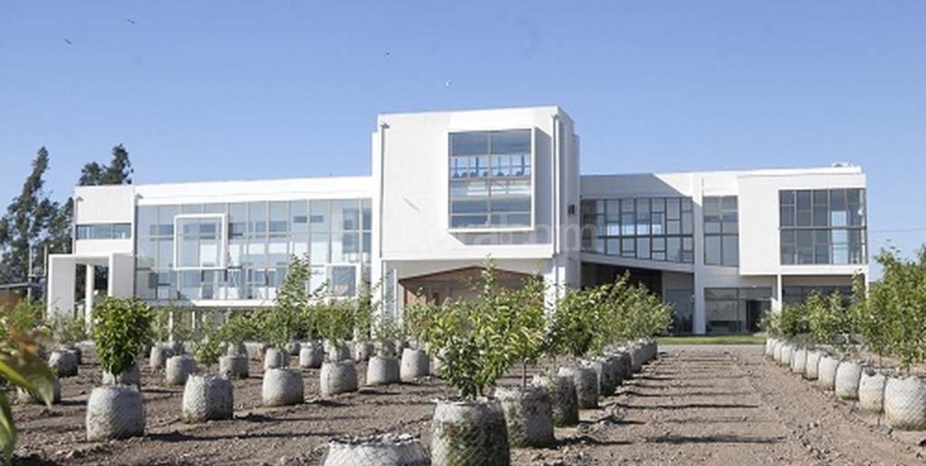 Científicos chilenos buscan crear súperarboles resistentes al cambio climático