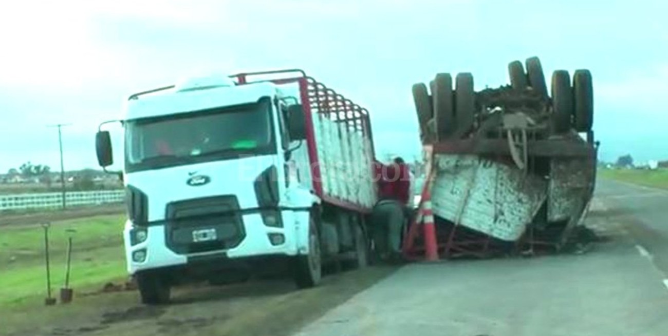 Faenaron vacas en plena autopista