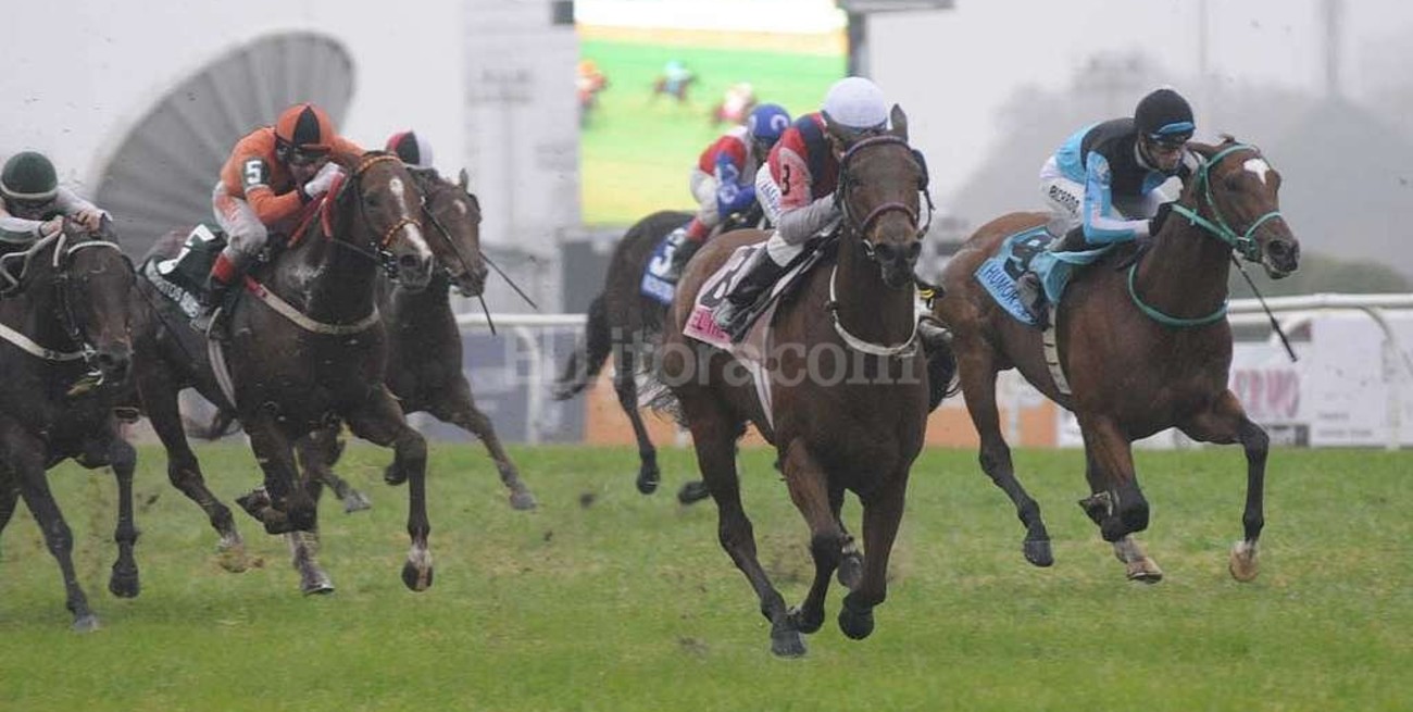 Suspenden a 11 entrenadores y cuidadores por casos de doping en el turf