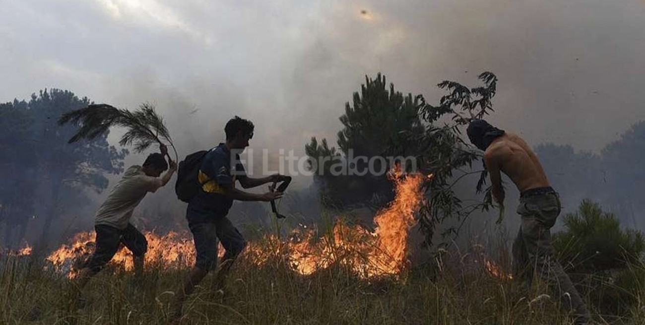 Varias hectáreas y viviendas afectadas por un incendio en Valeria del Mar