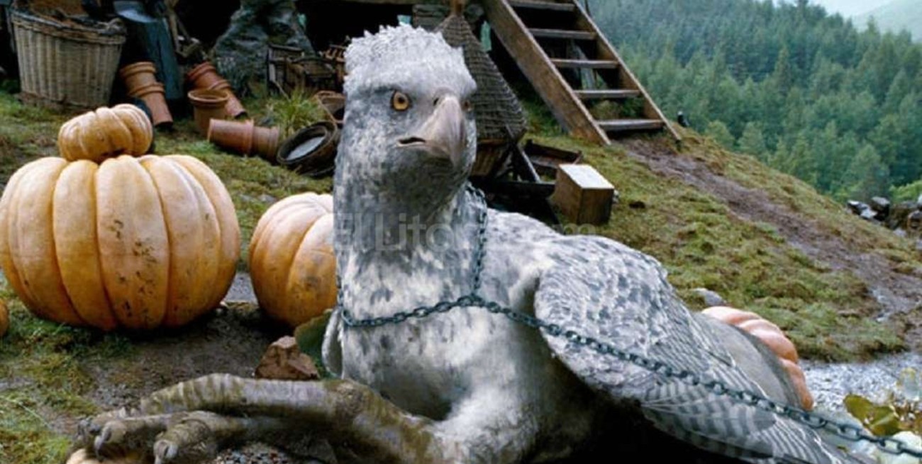 Harry Potter: comenzaron el rodaje de Animales Fantásticos y Dónde Encontrarlos 