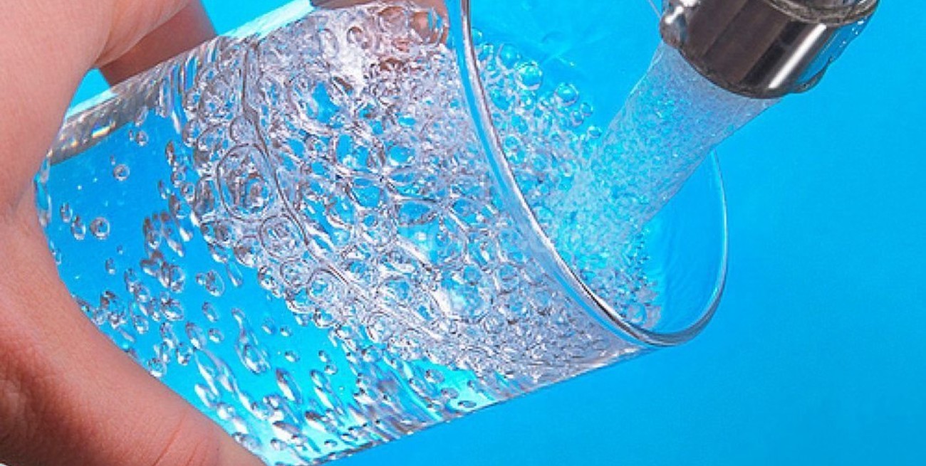 Encuentran Escherichia Coli en agua de red