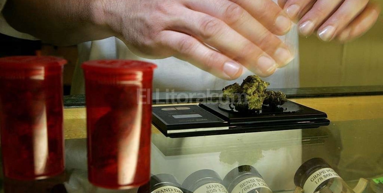 "El saber del cannabis lo tienen los pacientes, no los médicos"