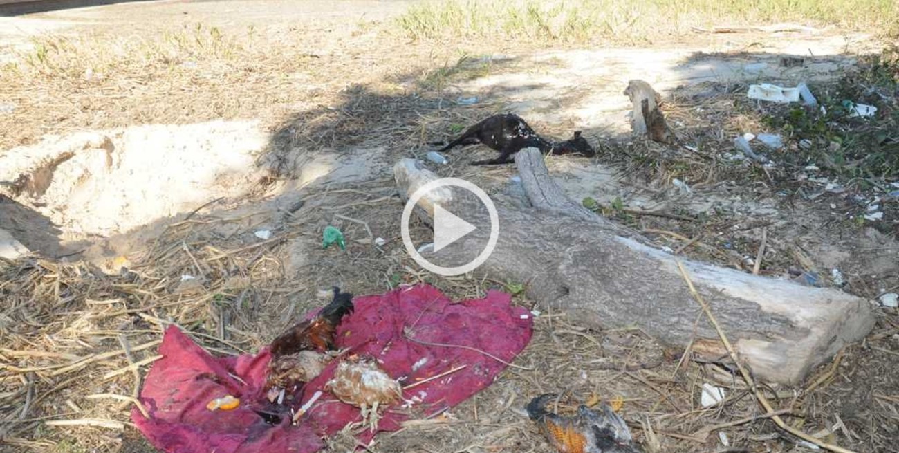 Macabro ritual en el Espigón I