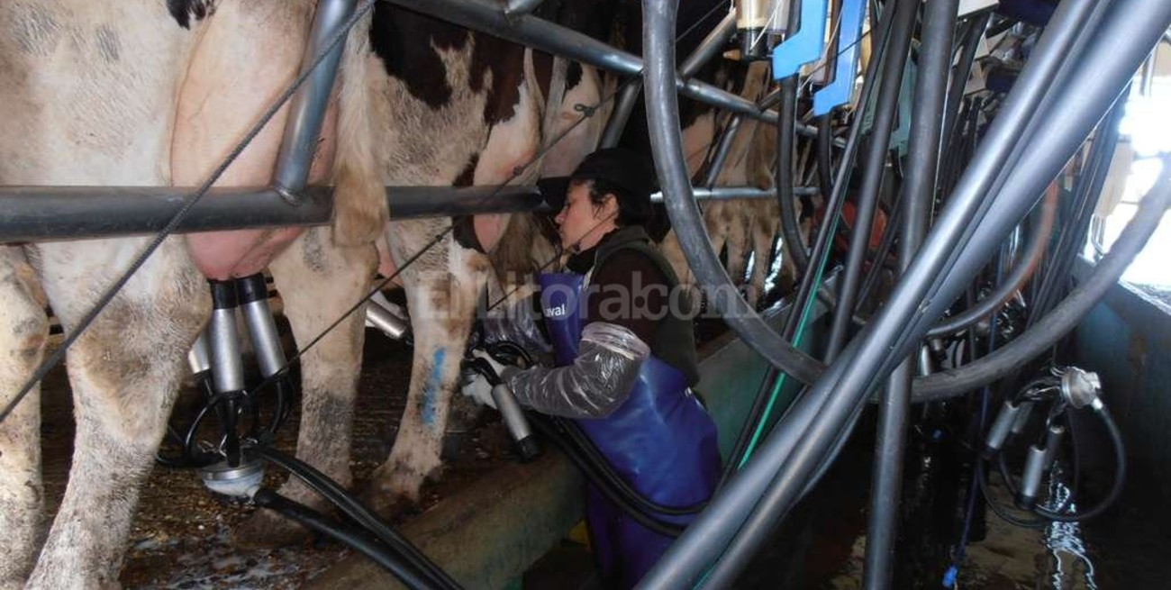 Se agudiza conflicto de los tamberos