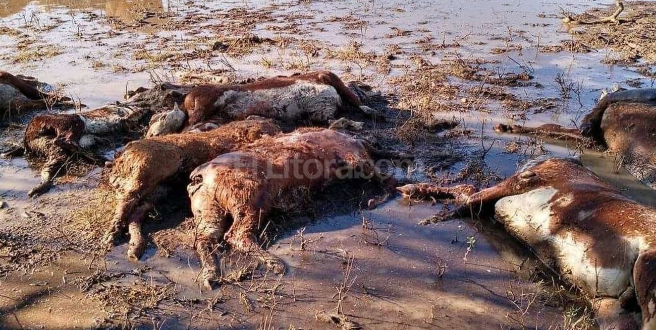 "El problema recién comienza"