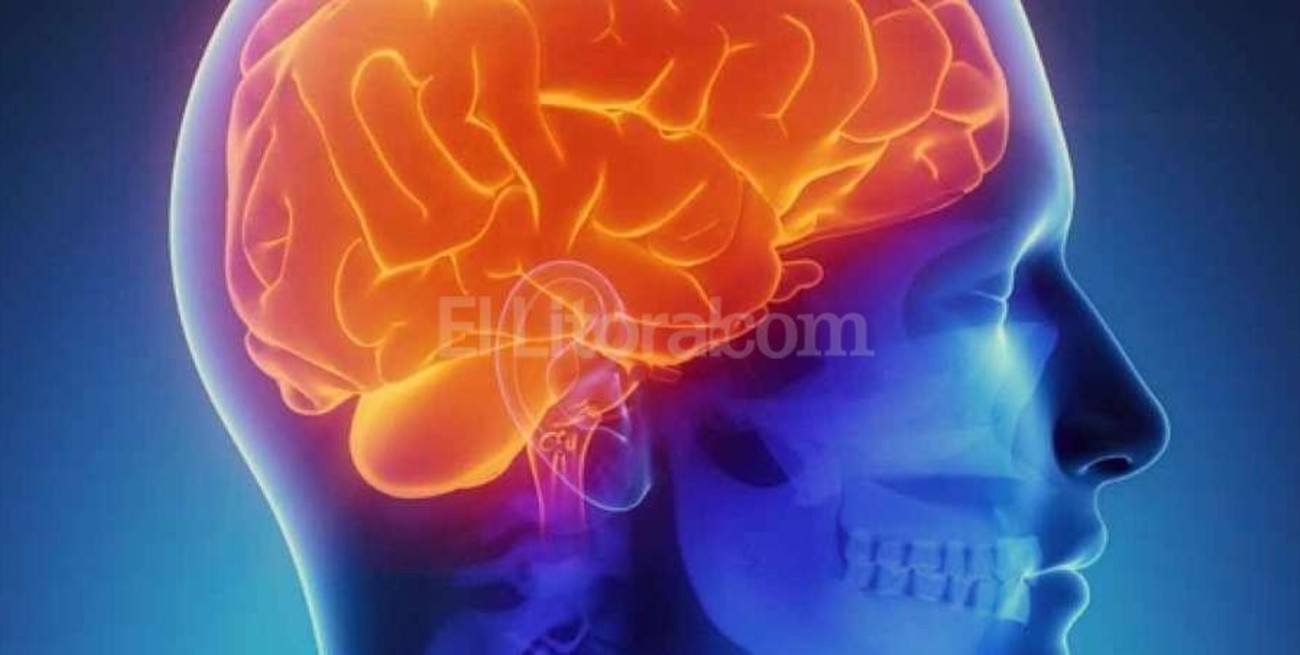 Actividades por el Día mundial contra el ACV