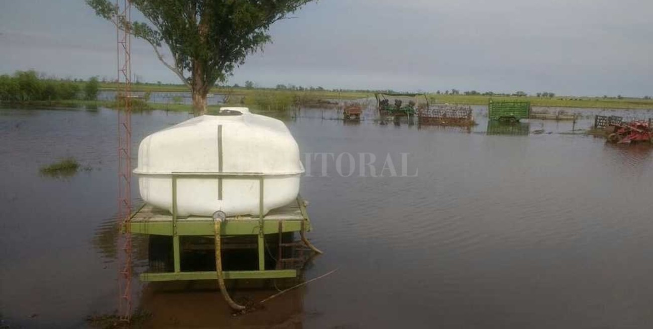 Esperan recursos de Nación para asistir a los tambos santafesinos