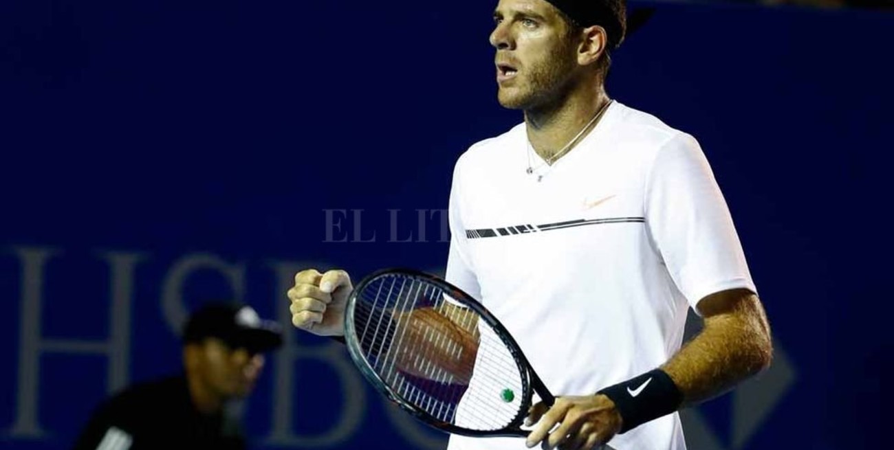 Del Potro ganó y jugará ante Djokovic