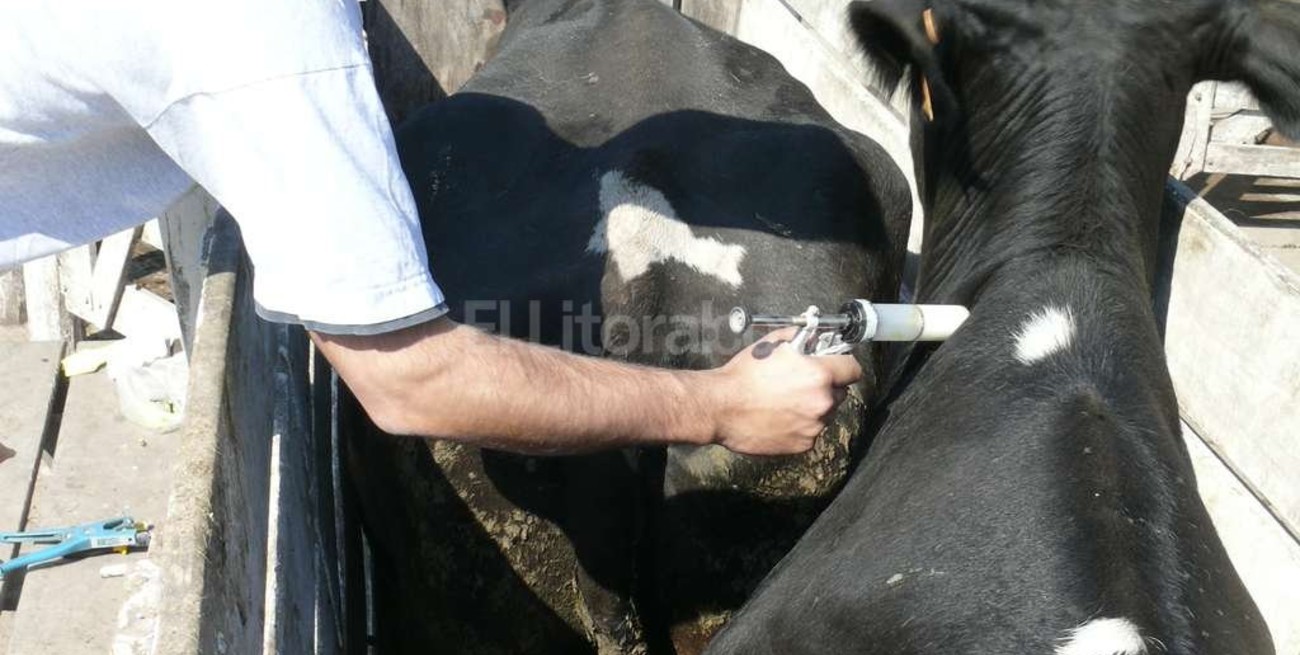  Neuquén, Río Negro y Chubut niegan levantar la barrera sanitaria