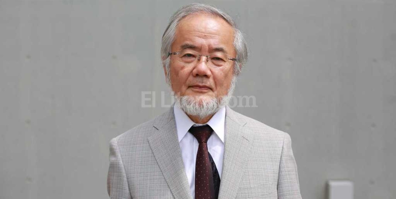 Premio Nobel a un investigador japonés por su trabajo en componentes celulares