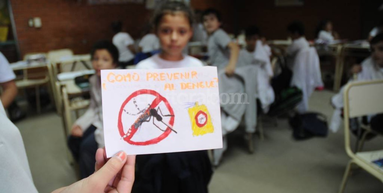 Alumnos estudian el dengue para que la prevención "pique" antes que el mosquito