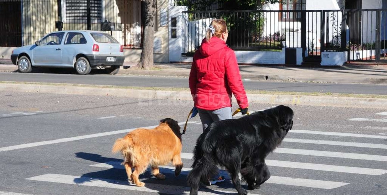 Las dos caras de Guadalupe Noreste