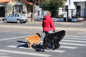 Flavio Raina Relax para todos. La Costanera santafesina es uno de los espacios públicos más elegidos para salir a caminar. Es que la laguna Setúbal garantiza la relajación que toda persona necesita para llevar una vida saludable. En ese estilo de vida los animales están incluidos, de ahí es que por la Costanera se vean muchos paseadores de perros.