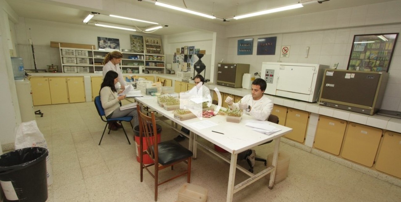 Todo listo para iniciar la obra del nuevo laboratorio de la Bolsa de Comercio en el Puerto de Santa Fe