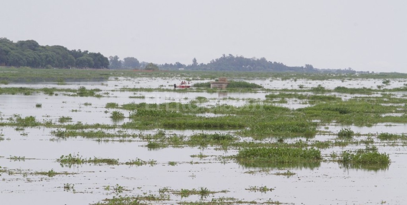 Analizan parar la captación de agua para retirar los camalotes de la toma