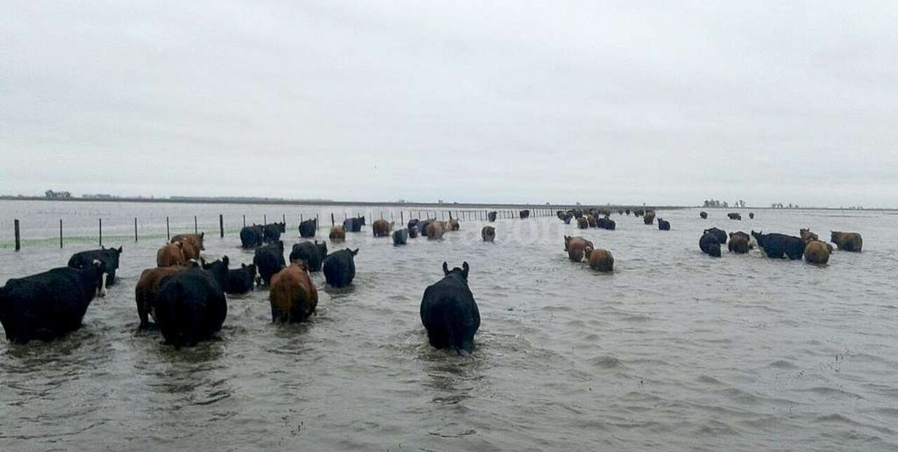 Nación financiará obras para evitar inundaciones en zonas productivas de Santa Fe y Córdoba