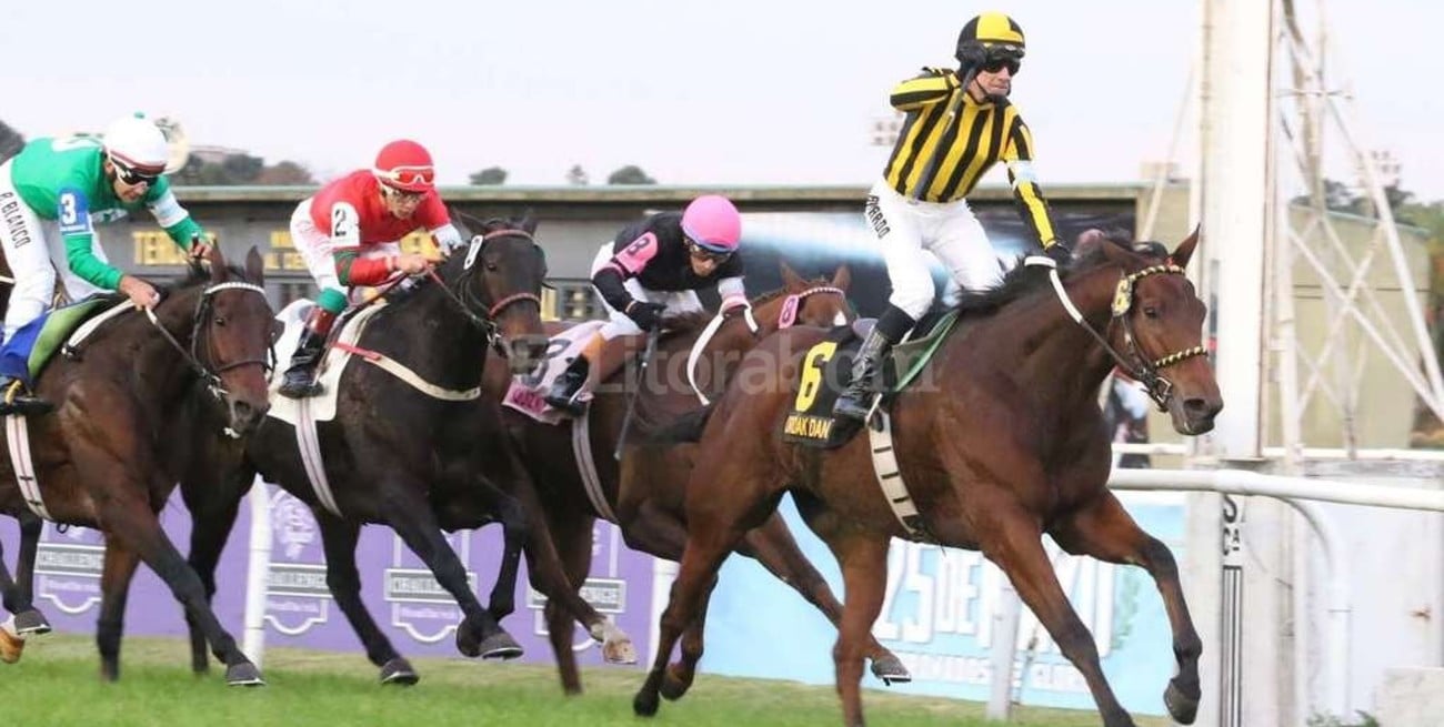 Ordak Dan va por la gloria