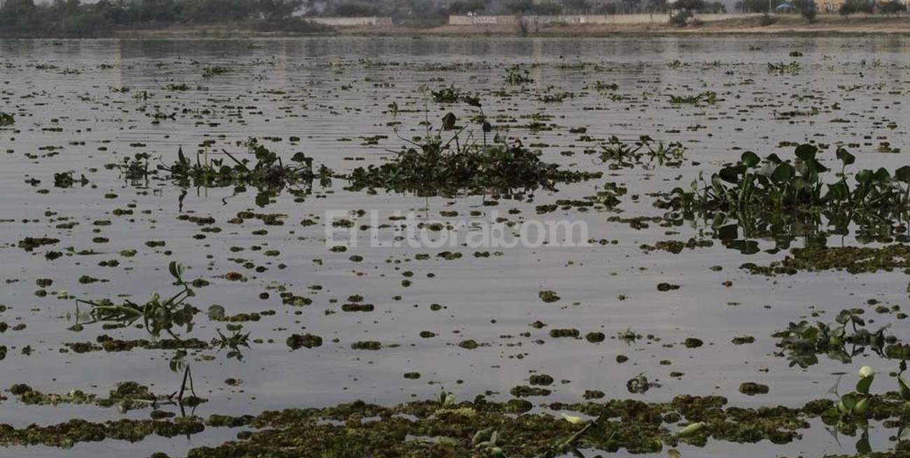 El Niño por sí solo no explica las crecidas extraordinarias del Paraná
