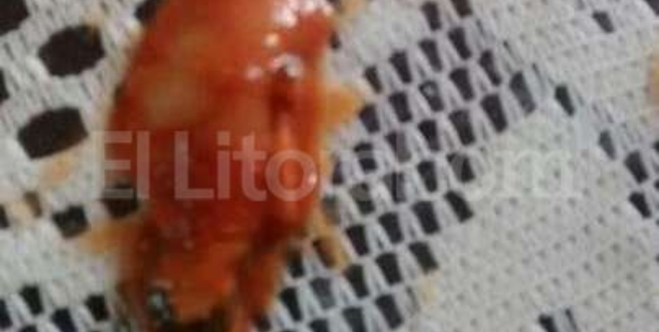 Extraño hallazgo en una lata de tomate 