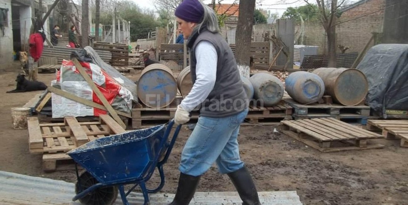 Así está el refugio de perros de Sauce Viejo