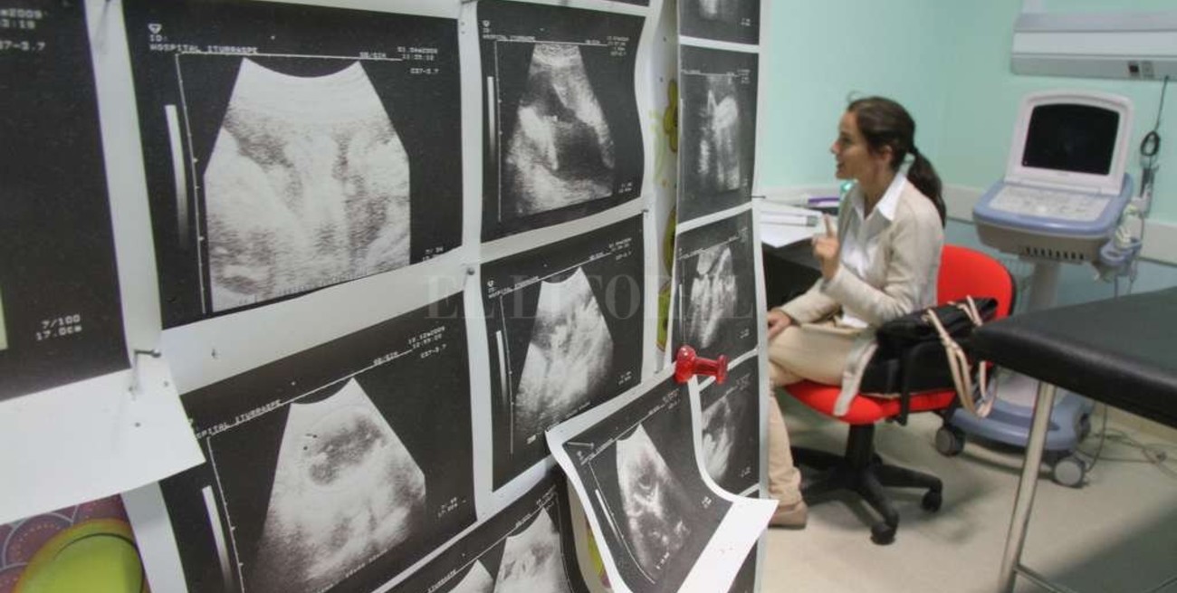 Determinan el sexo del bebe en la quinta semana de gestación