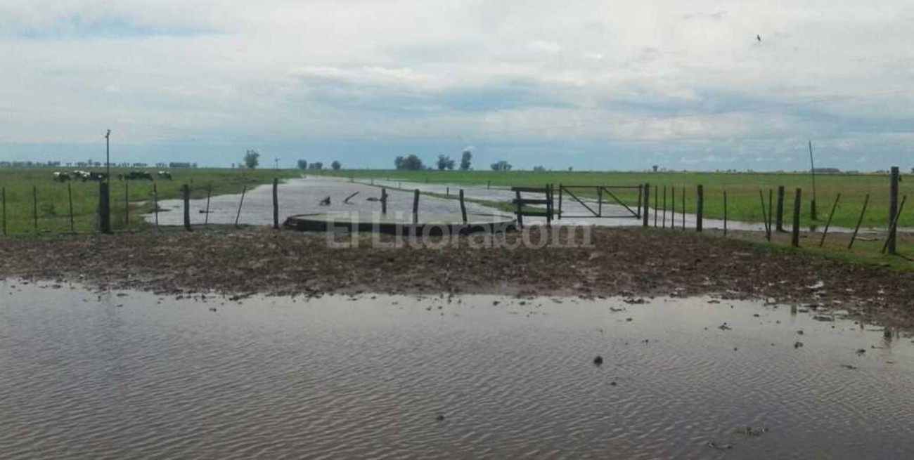 Extienden la Emergencia Agropecuaria por 180 días