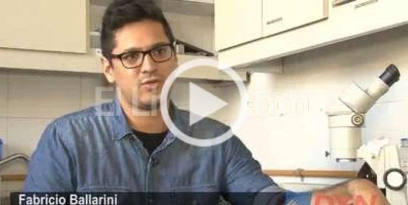 Cómo estimular la memoria y resguardar los recuerdos ante las nuevas tecnologías