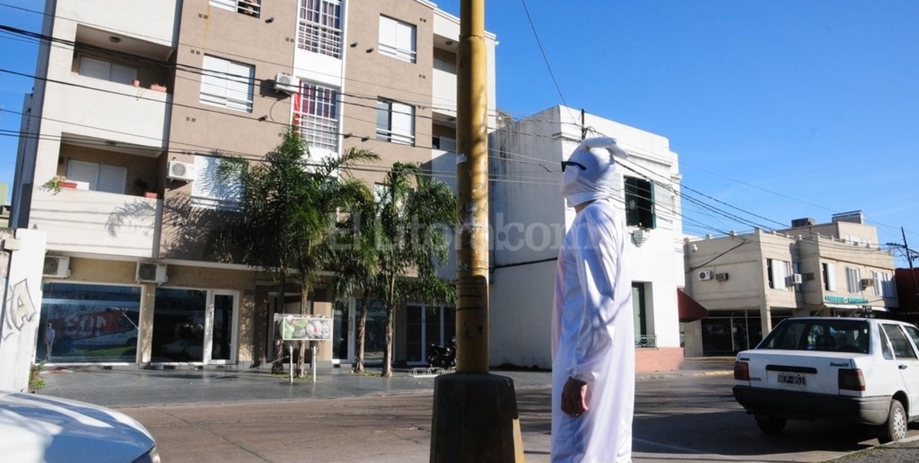 "Conejito" perdido tras la fiesta de disfraces