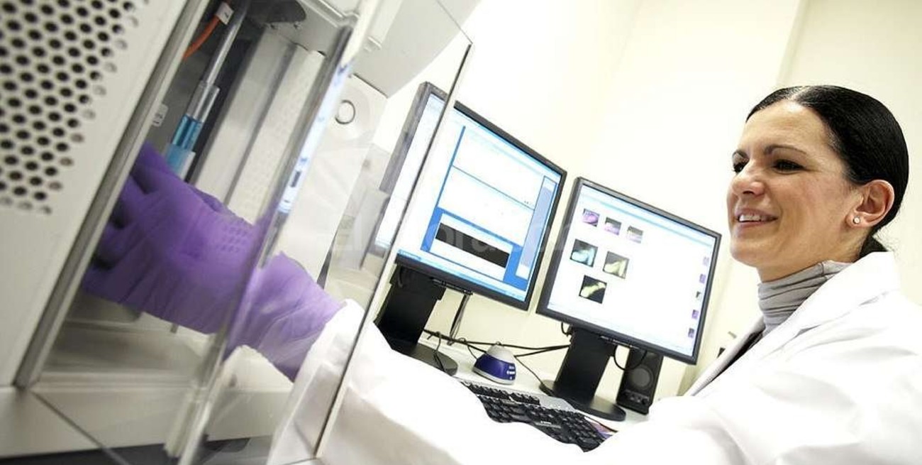 Qué es y para qué sirve la conservación de células madre