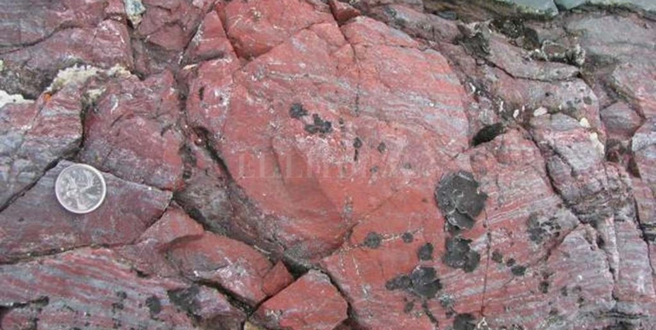 Científicos encuentran en Canadá los fósiles más antiguos del mundo