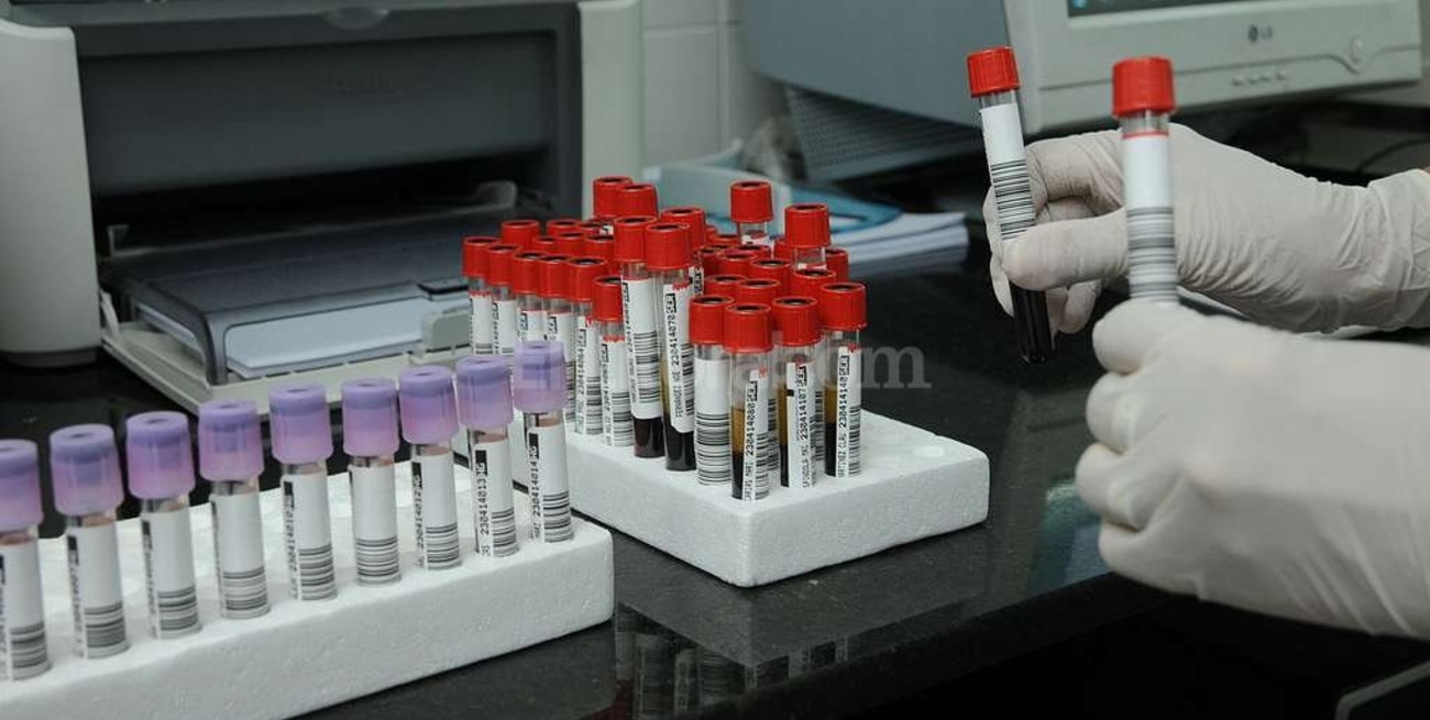 UNL: Estudian una molécula que sería clave en el desarrollo del cáncer