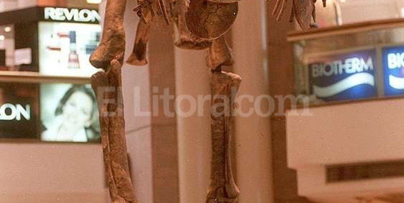 Investigadores de la UNL revelan cómo peleaba y comía el "dinosaurio argentino"