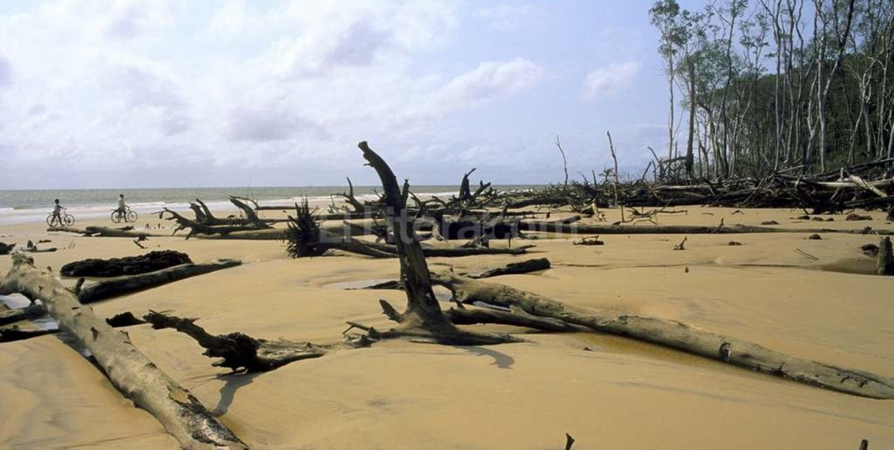 ¿Por que la temperatura del planeta no debe aumentar más de dos grados?