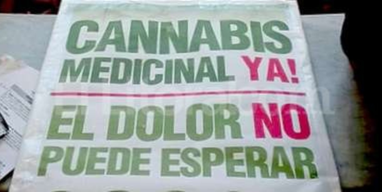 Es Ley el uso medicinal del aceite de cannabis