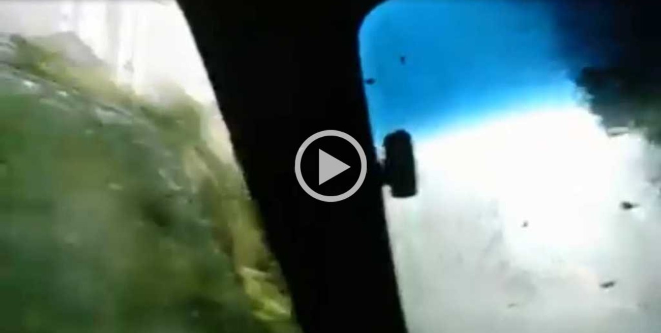 Video: un árbol los pasa a toda velocidad