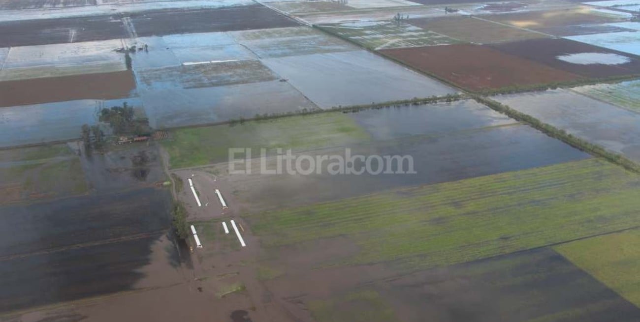 Emergencia hídrica: el 80 % de la zona tambera está bajo agua