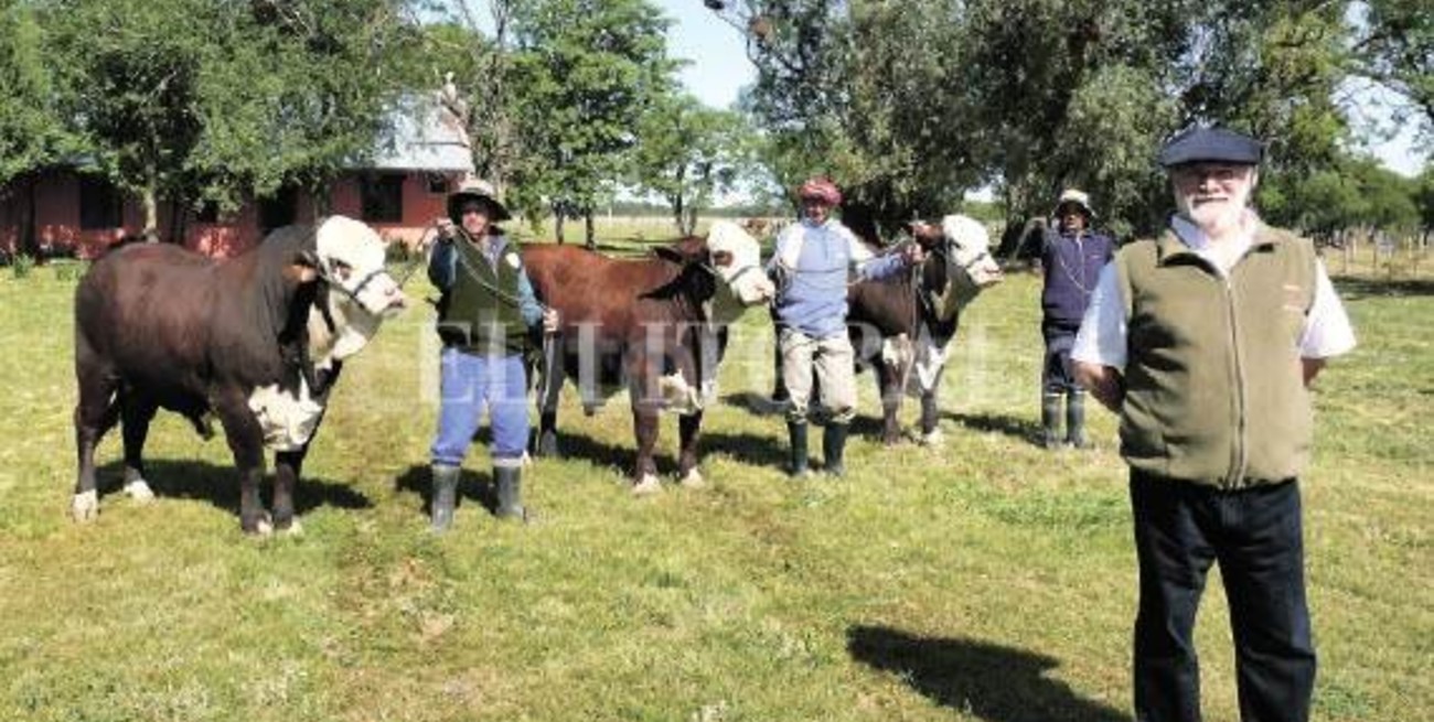 Braford: una cuestión de actitud