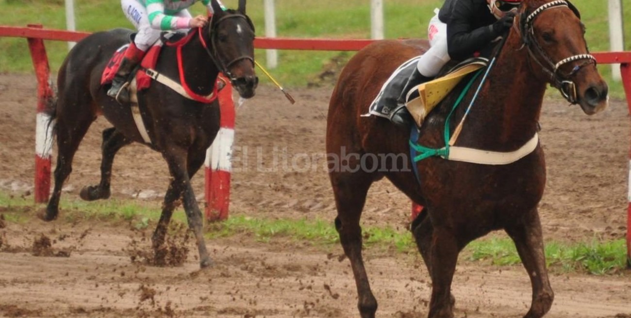 Nueve carreras el domingo