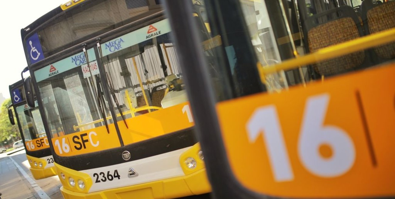 ¿Qué línea de colectivos debería ser la próxima en renovarse?