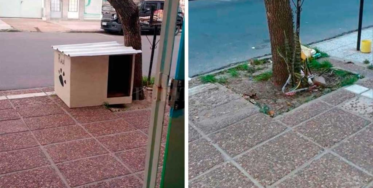 Insólito: se robaron una cucha de Perros Comunitarios