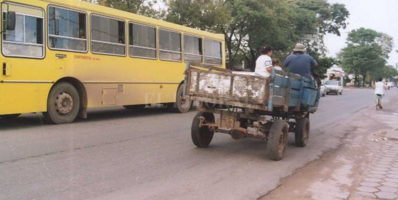 Quieren prohibir la circulación de vehículos de tracción a sangre 