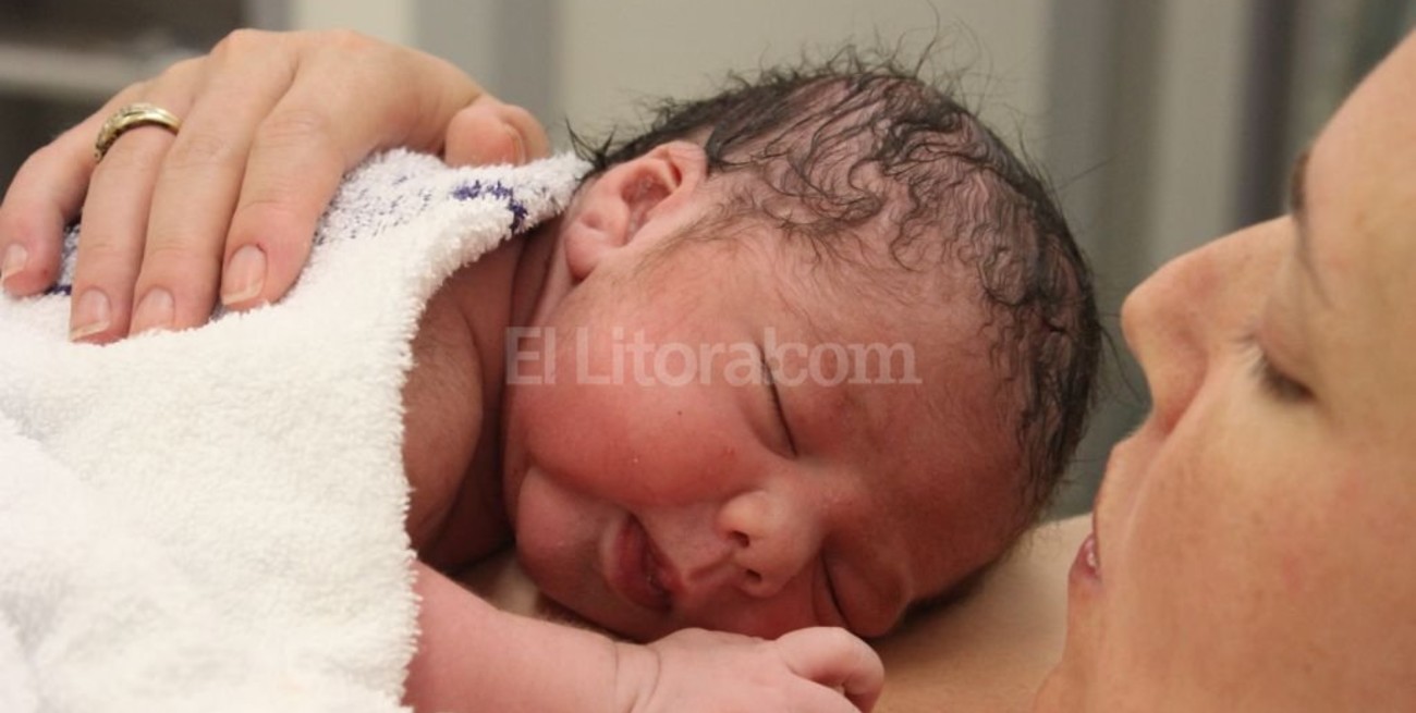 Los primeros bebés del 2017