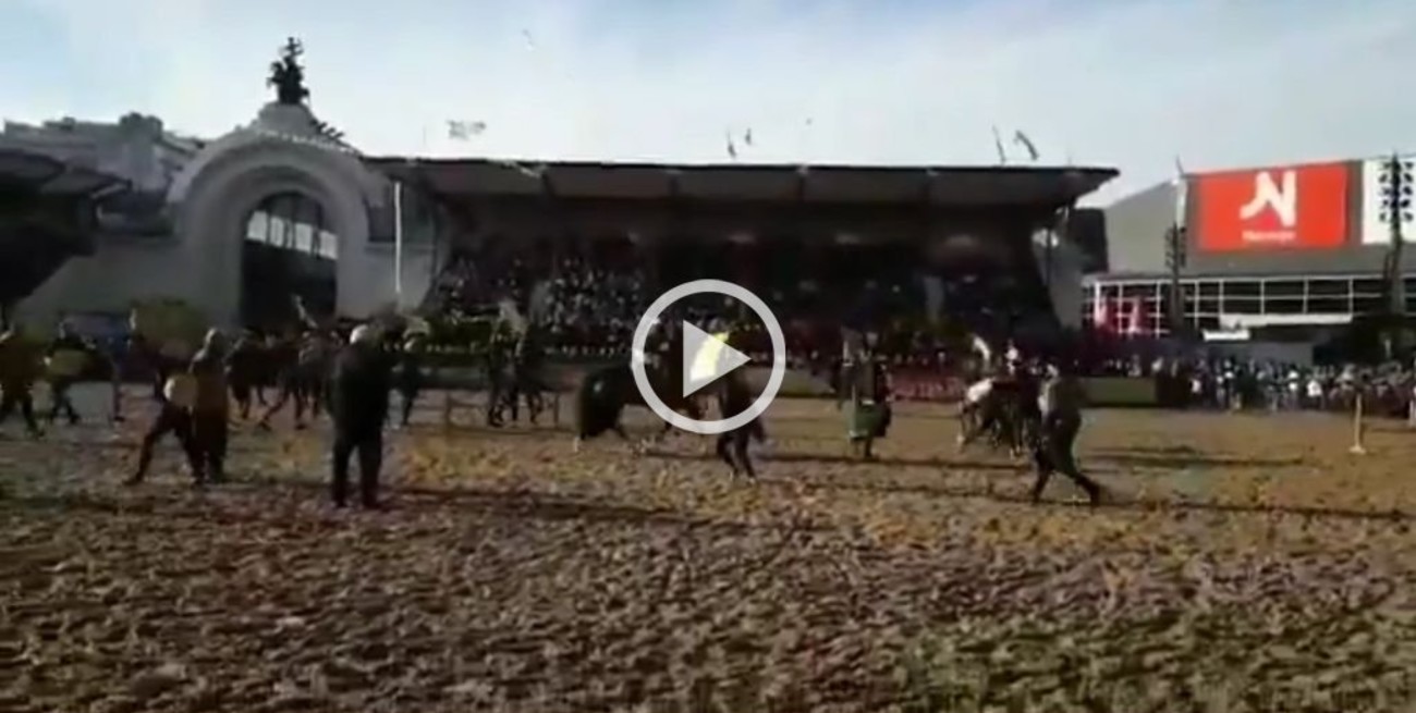 Video: polémica por una manifestación de defensores de los animales en La Rural