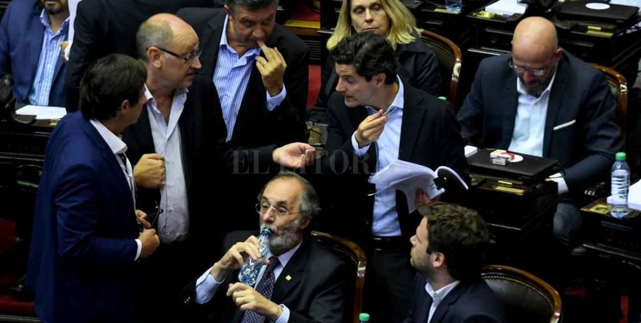 En la Cámara de Diputados hacen cálculos voto por voto 