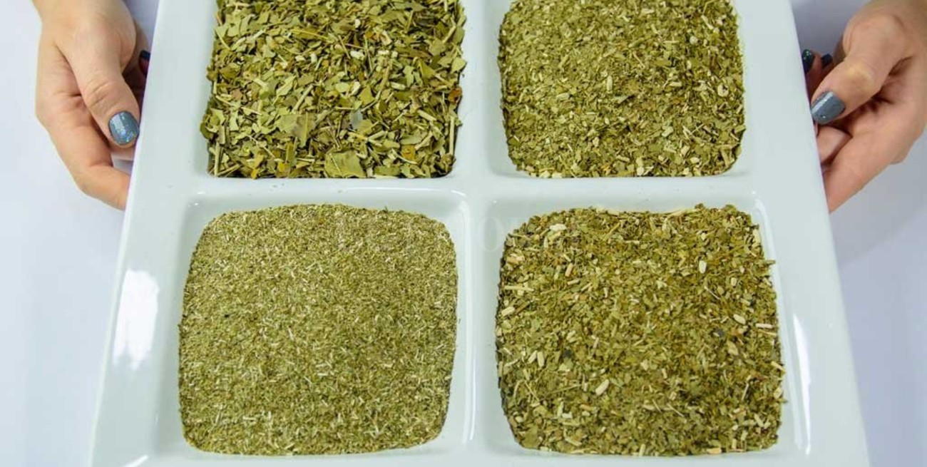 Cómo catar la yerba mate